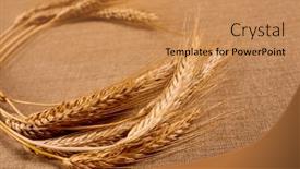  Presentation with linen - 