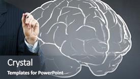  Presentation with cerebellum - PPT theme enhanced with cerebellum - close up of businessman drawing background and a dark gray colored foreground