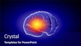  Presentation with blue brain - Presentation design enhanced with cerebellum - concept of human intelligence background and a navy blue colored foreground