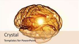  Presentation with cerebellum - Presentation theme enhanced with cerebellum - concept of human intelligence background and a yellow colored foreground