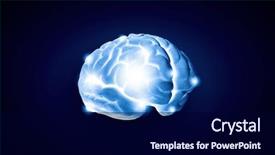  Presentation with cerebellum - Presentation with cerebellum - concept of human intelligence background and a navy blue colored foreground