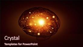  Presentation with cerebellum - Audience pleasing PPT layouts consisting of cerebellum - concept of human intelligence backdrop and a wine colored foreground