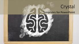  Presentation with brain - Colorful presentation theme enhanced with cerebellum - digital composite of brain icon backdrop and a coral colored foreground