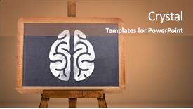  Presentation with cerebellum - Presentation design consisting of cerebellum - digital composite of brain background and a coral colored foreground