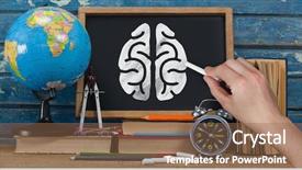  Presentation with brain coaching - Slide deck having cerebellum - digital composite of hand drawing background and a violet colored foreground