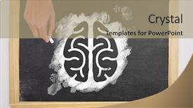  Presentation with brain - Presentation consisting of cerebellum - digital composite of hand drawing background and a coral colored foreground