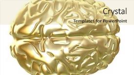  Presentation with cerebellum - Presentation design with cerebellum - golden brain background and a blonde colored foreground