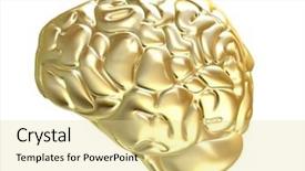  Presentation with cerebellum - Slides consisting of cerebellum - golden brain background and a blonde colored foreground