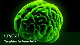  Presentation with cerebellum - Presentation theme consisting of cerebellum - green glowing brain background and a forest green colored foreground