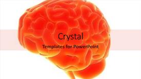  Presentation with cerebellum - Theme featuring cerebellum - orange glowing brain background and a red colored foreground