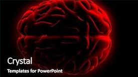  Presentation with cerebellum - Presentation theme enhanced with cerebellum - red brain background and a black colored foreground