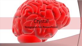  Presentation with cerebellum - PPT layouts enhanced with cerebellum - red brain background and a red colored foreground