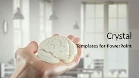  Presentation with cerebellum - PPT theme enhanced with cerebellum - your mind abilities mixed media background and a light gray colored foreground