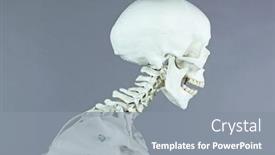  Presentation with cervical spine - Colorful slide set enhanced with cervical-spine-section-of-human backdrop and a gray colored foreground