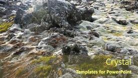  Presentation with lava - Presentation design with cetraria islandica - iceland moss on lava rock elds background and a tawny brown colored foreground