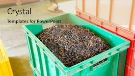  Presentation with tea leaves fresh green leaf - PPT theme consisting of ceylon tea in big factory background and a  colored foreground