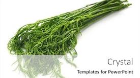  Presentation with thai - Slides having cha-om-thai-acasia-leaves background and a white colored foreground