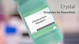  Presentation with microalgae - Slide deck featuring chaetoceros-muelleri-microalgae-used background and a  colored foreground