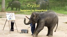  Presentation with chiang mai - Slides with chaing-mai-thailand-july-29 background and a tawny brown colored foreground