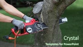  Presentation with chainsaw - Audience pleasing PPT layouts consisting of chainsaw in action cutting a trunk backdrop and a tawny brown colored foreground