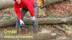  Presentation with forestry - Audience pleasing slides consisting of forestry worker - man cutting oak log backdrop and a  colored foreground