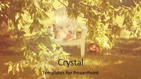  Presentation with tree - Slide set consisting of chair apples and a book background and a  colored foreground