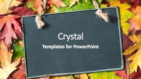  Presentation with maple leaves - Amazing slides having chalkboard and autumn maple leaves backdrop and a ocean colored foreground