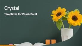  Presentation with sunflower - PPT theme with chalkboard classroom - blackboard and sunflower background and a  colored foreground