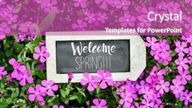  Presentation with blackboard english text welcome - Presentation enhanced with chalkboard with the text welcome background and a coral colored foreground