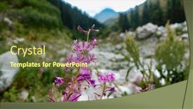  Presentation with medicinal plant - Slide set having chamaenerion-angustifolium-growing-in-mountains background and a tawny brown colored foreground