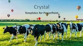  Presentation with air france - 