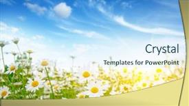  Presentation with sun rays on blue sky - Amazing presentation theme having chamomile - field of daisies blue sky backdrop and a cool aqua colored foreground