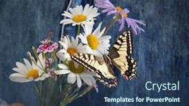  Presentation with chamomile - PPT theme having chamomile-and-butterfly-in-woman background and a ocean colored foreground