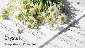  Presentation with music notes - Slide deck featuring chamomile bouquet on music notes background and a white colored foreground