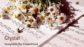  Presentation with music sheets - Slides having chamomile bouquet on music sheets background and a lemonade colored foreground