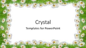  Presentation with chamomile - Colorful slide set enhanced with background with copy space spring backdrop and a white colored foreground