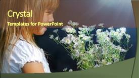  Presentation with magic - Amazing presentation theme having chamomile rays light - magic summer backdrop and a  colored foreground