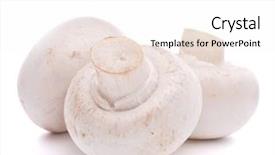  Presentation with champignon mushroom - Slides having historic royal banner of king richard i england created in grunge style background and a red colored foreground