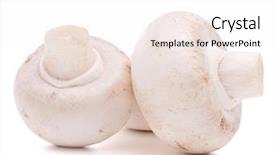  Presentation with champignon mushroom - Presentation theme enhanced with champignon mushroom isolated on white background and a  colored foreground