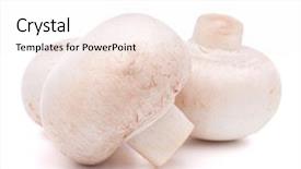  Presentation with champignon mushroom - Beautiful PPT theme featuring champignon mushroom isolated on white background backdrop and a sky blue colored foreground