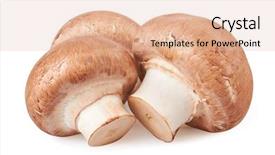  Presentation with champignon mushroom - PPT theme having champignon-mushroom-isolated-on-white background and a lemonade colored foreground