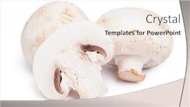  Presentation with mushrooms - Slide set featuring fungo - champignon mushrooms isolated on white background and a cream colored foreground