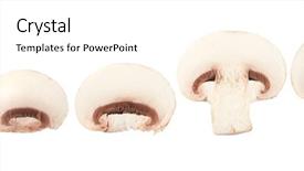  Presentation with mushrooms - Colorful PPT theme enhanced with colourful backrounds - champignon mushrooms on white backround backdrop and a white colored foreground