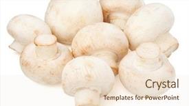  Presentation with mushrooms - Presentation theme with champignon mushrooms on white backround background and a lemonade colored foreground