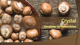  Presentation with mushrooms - PPT theme with fresh champignon mushrooms on old background and a coral colored foreground
