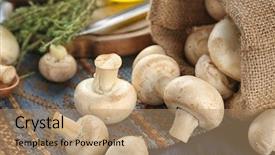  Presentation with champignon mushroom - PPT theme with fresh champignon mushrooms on table background and a  colored foreground