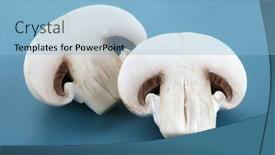  Presentation with mushrooms - Presentation theme featuring champignons-on-a-blue-background background and a light blue colored foreground