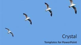  Presentation with team leader - Colorful presentation design enhanced with pursue - follow the leader team concept backdrop and a  colored foreground