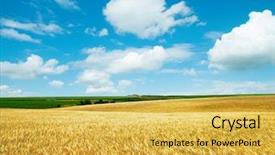  Presentation with field - Presentation theme with champs agricole - golden field under cloudy sky background and a yellow colored foreground