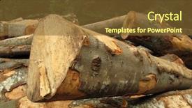  Presentation with mangrove forest mangrove in asia - Slides enhanced with change climate - clearfelling forest clearcut background and a tawny brown colored foreground